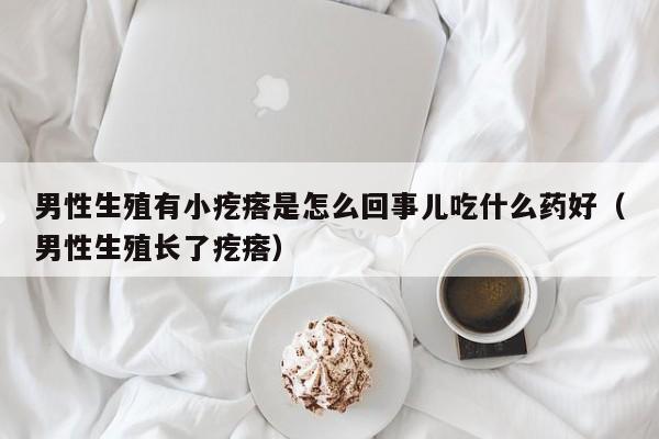 男性生殖有小疙瘩是怎么回事儿吃什么药好（男性生殖长了疙瘩）