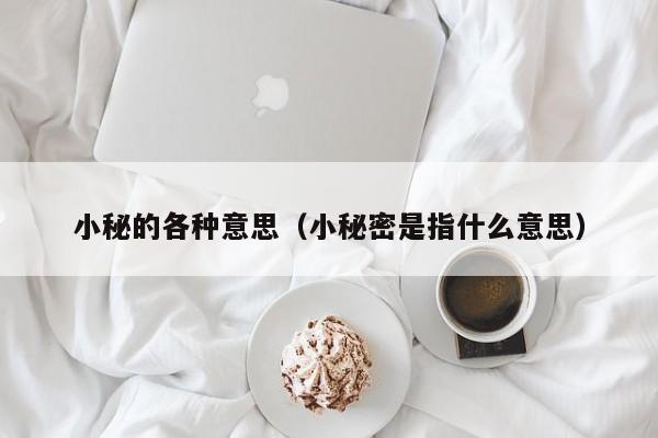 小秘的各种意思（小秘密是指什么意思）