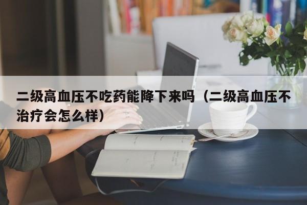 二级高血压不吃药能降下来吗（二级高血压不治疗会怎么样）